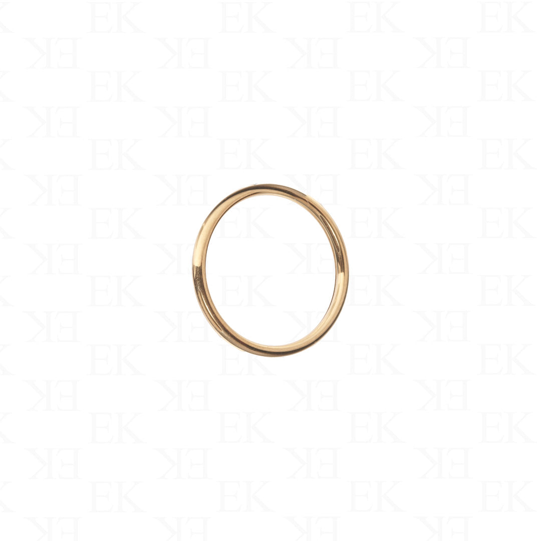 Daily Titanium Ring Gold