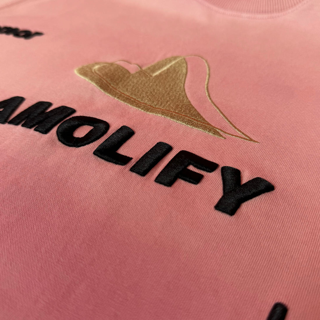 Keynote | Asmolify Stone Washed Tee Pink