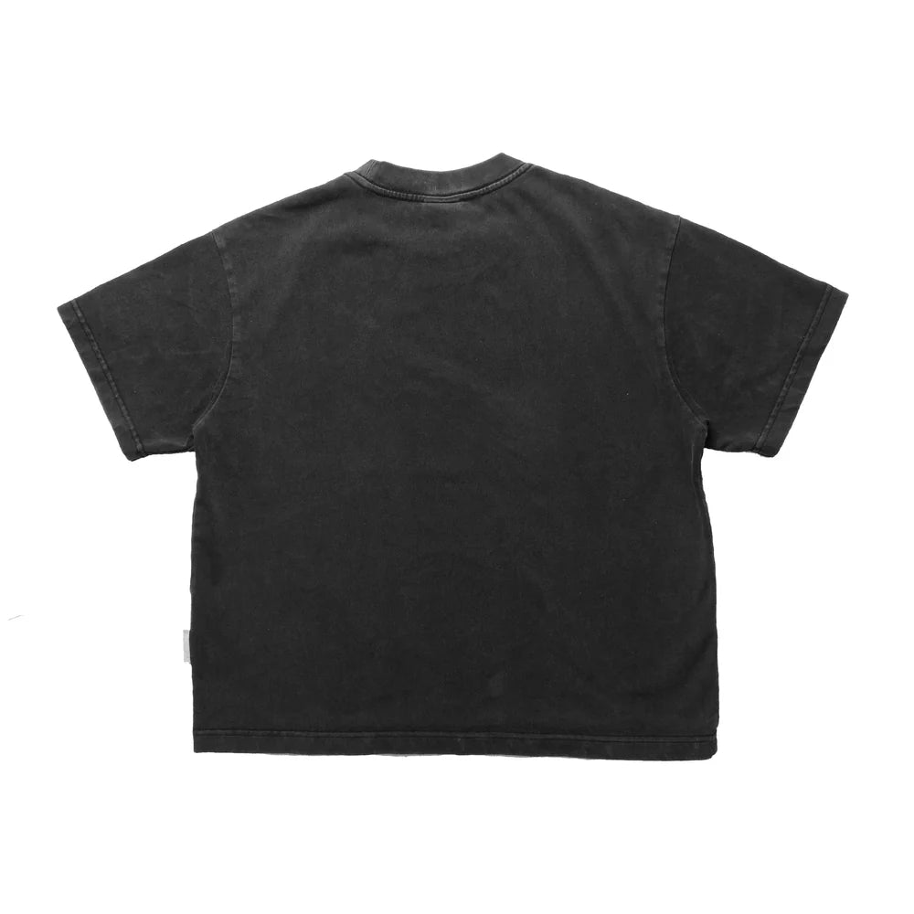 Brr Washed Crop Tee